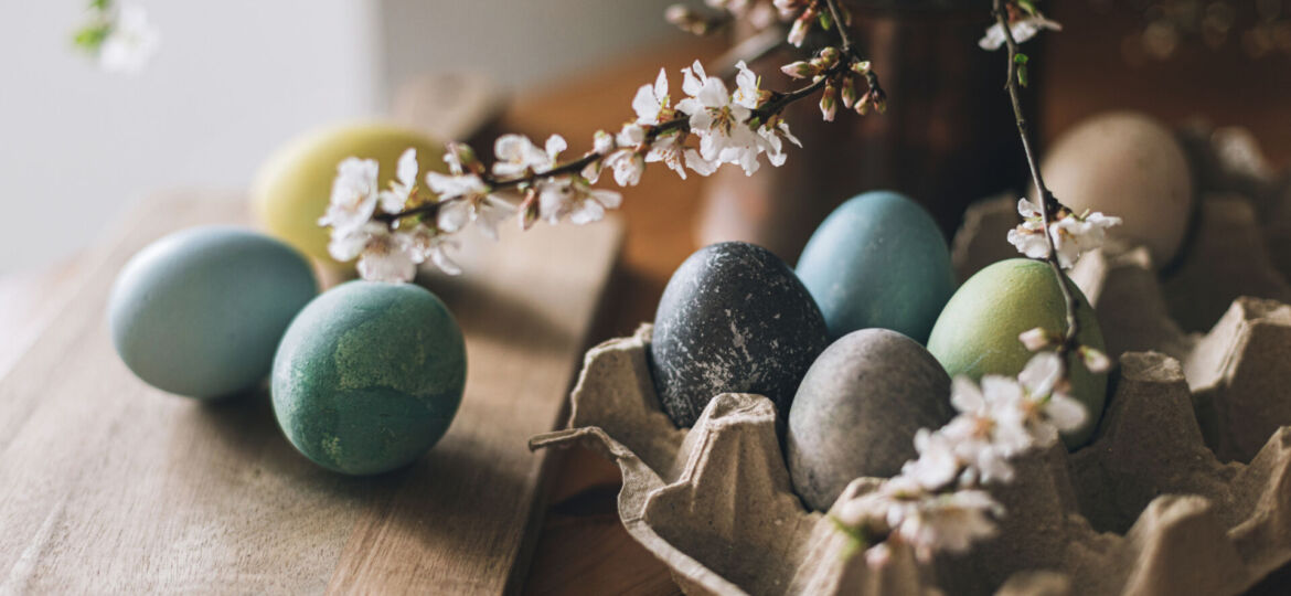 Happy Easter! Easter eggs on rustic table with cherry blossoms.