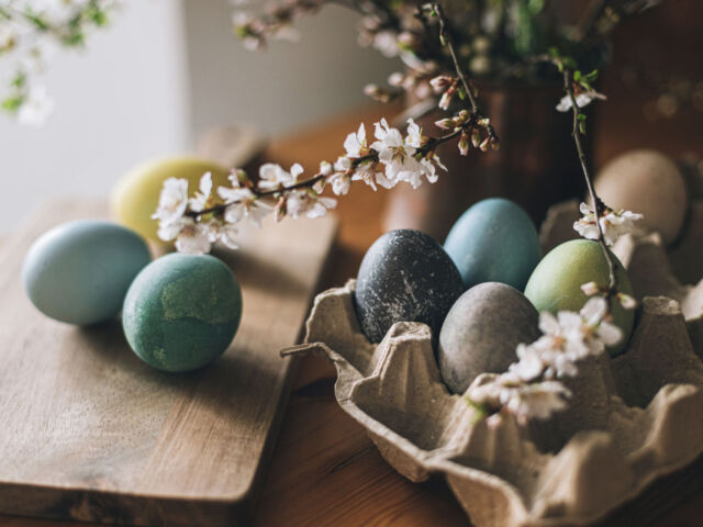 Happy Easter! Easter eggs on rustic table with cherry blossoms.