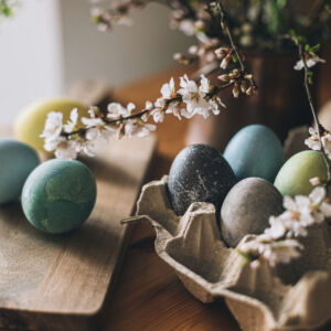 Happy Easter! Easter eggs on rustic table with cherry blossoms.